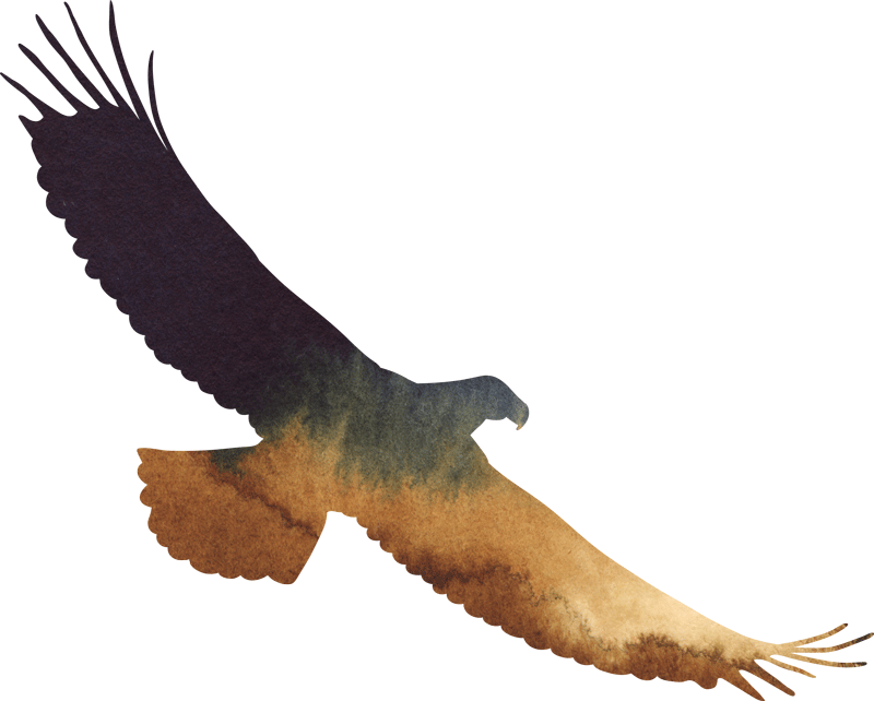 Eagle-logo knaek og braek